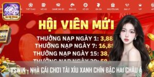 VSWIN - Nhà Cái Chơi Tài Xỉu Xanh Chín Bậc Hai Châu Á