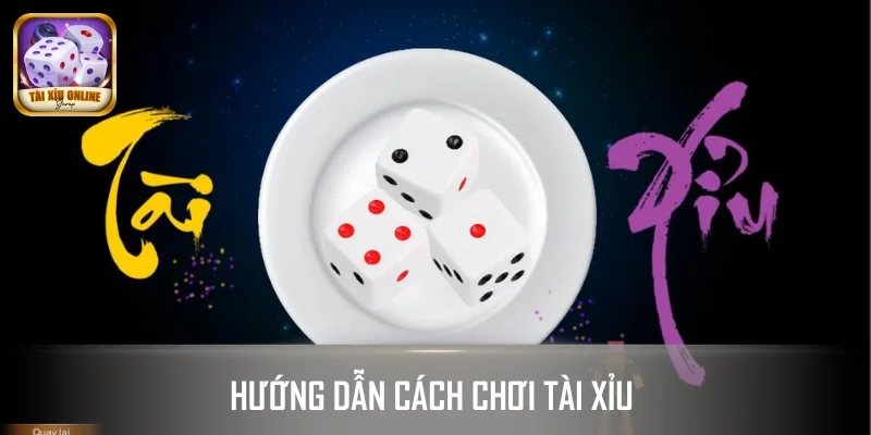 Hướng dẫn người mới quy luật chi tiết, dễ hiểu