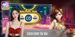 Hướng Dẫn Cách Chơi Tài Xỉu Dễ Hiểu, Chi Tiết Cho Người Mới