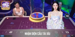 Hướng Dẫn Nhận Diện Cầu Tài Xỉu Dễ Dàng Cho Tấm Chiếu Mới