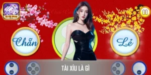 Tài Xỉu Là Gì? Toàn Bộ Nội Dung Quan Trọng Cần Nắm Rõ